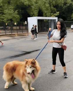 1790566015_fff3b0181c2cf1610155.gif