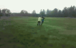 1790594972_099c2cebcdba8edac272.gif