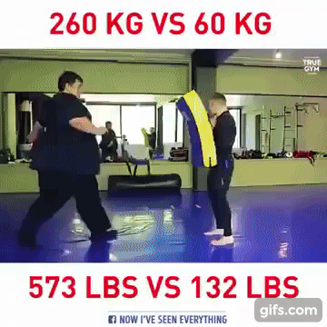 1790635649_62c592de8094d2a554dd.gif