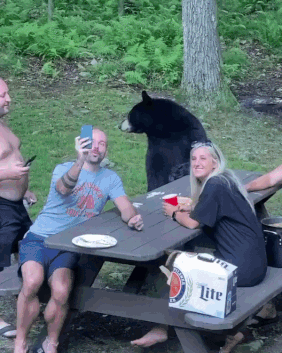 1790638599_877bd7a3baa249b22009.gif