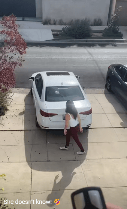 1790642939_ebf5aa1670eae9b71b7c.gif
