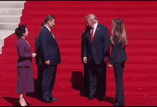 1790676814_a4cd261b3aa5827e6261.gif