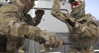 1790691069_17d3963f61fef4a6f49a.gif