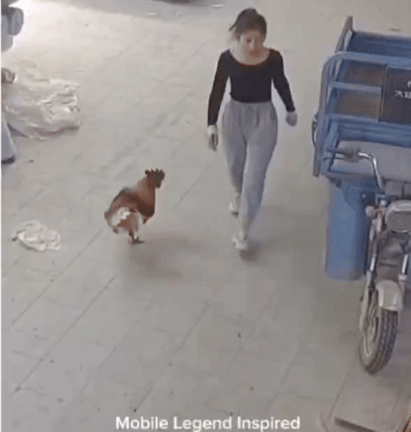 1790735606_a89f2509a91026231e56.gif