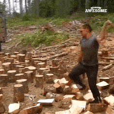 1790821939_5971824ce518c6b3c7a7.gif