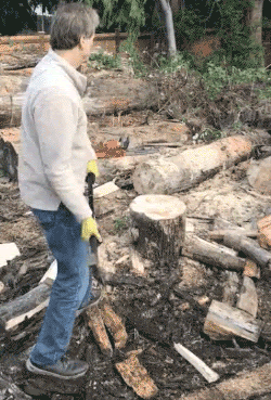 1790821959_c60a1a75944b5e025a69.gif