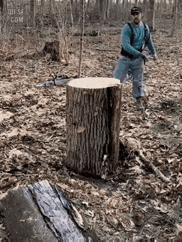1790821967_39cb1b0e0bf84d94e3fd.gif