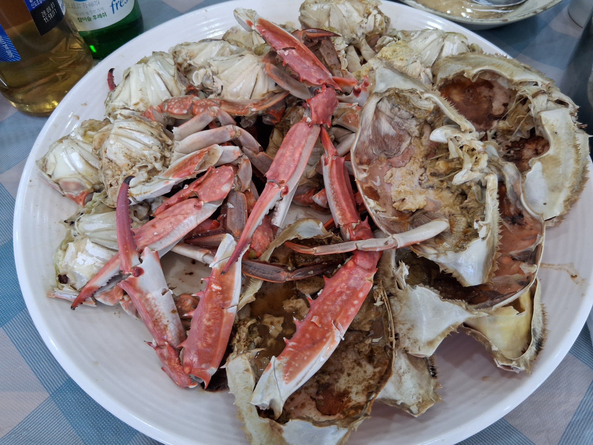 1790832806_dc704fc92d78b17c73e2.jpg