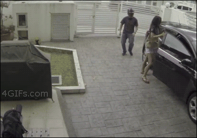 1790836934_325917402c5f48851e29.gif