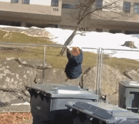 1790900638_062f4a0424467d765e85.gif