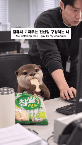 1790919688_fae5d1736727bc3496fa.gif