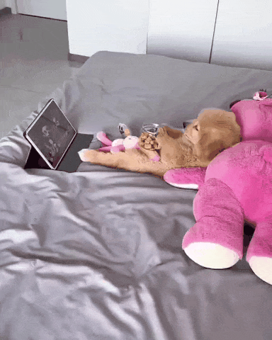 1790993781_fbe2ad12f3aafec891b9.gif