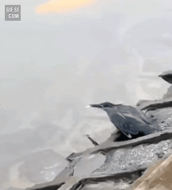 1791160437_3b784614f7b872ea069e.gif