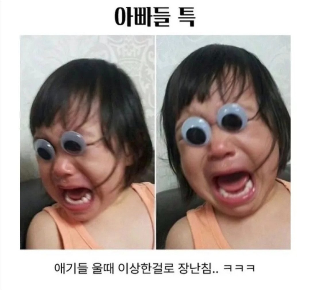 1791881566_c77cab98caf31dcc0af9.jpg