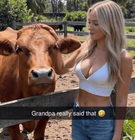 1783683038_566adf70b9dfa6a5c506.gif