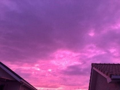 1781052833_8ec4cafebe695a3cf155.jpg