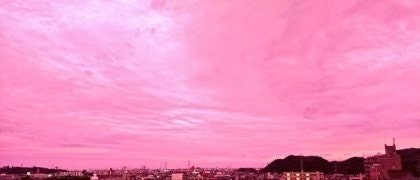 1781052833_ec36cf48d73dc28dd56e.jpg