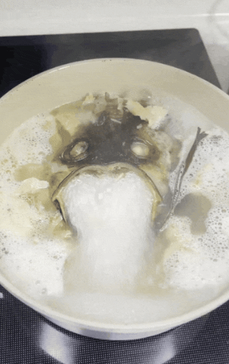 1781134675_eb40428a1feae2f39e8f.gif