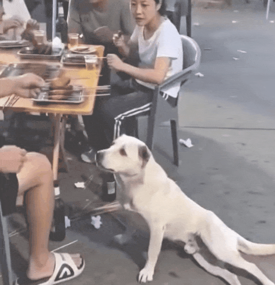 1783689465_af79502cc76d6265ef5e.gif