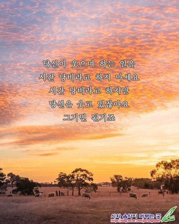 1783689747_b213ad6cafb8c7ff6354.jpg
