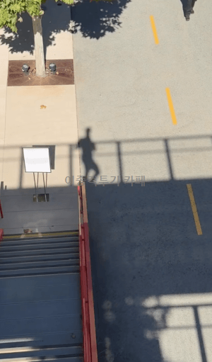1788226118_c147df5a1f258f706ba2.gif