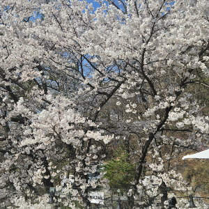 프로필이미지