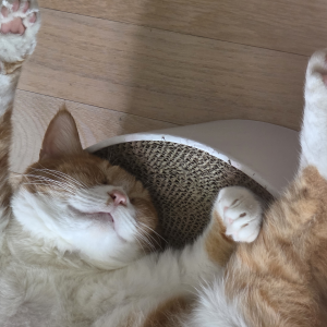 프로필이미지