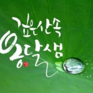 프로필이미지
