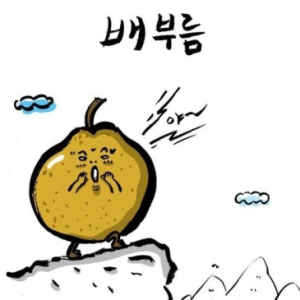 프로필이미지