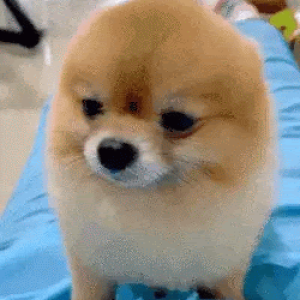 프로필이미지